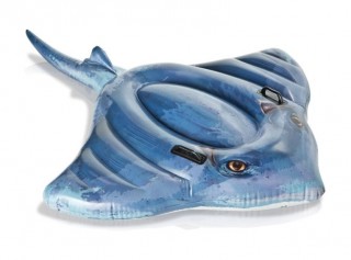 Nafukovací vodní vozidlo Intex Rejnok č.1